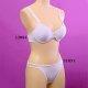 Ladies' Underwear, 12004 
11851
