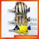 Longnose Butterflyfish Pin