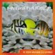 3-pc Coral Fish Hairclip, 7921