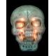 20 inches Giant Skull Silhouttes