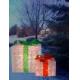 2 pack Presents : 12 inches and 8 inches