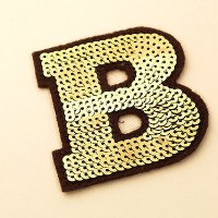 SEQUINS EMBROIDERY PATCH