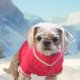 PETS SWEATER