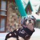 PETS SWEATER