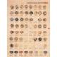 Sell Assort Style of Imitation Horn Buttons
