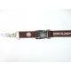 Lanyard