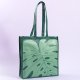Carrying Bag