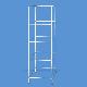 Display T