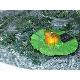 Solar Frog on Lotus Solar Light
