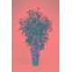 FICUS, FF-MT6-2400