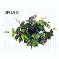 GRAPE IVY W/GRAPES BUSH X 10.