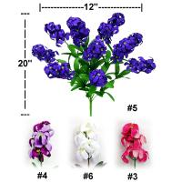 HYACINTH BUSH X 12.