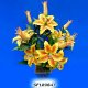 Sell Tiger Lily Bush x 5 Stems with 10 Flowers and 5 Buds
