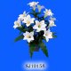 Sell Easter Lily Bush x 14 W/Gypso
