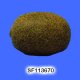 Sell 64mm X 49mm Kiwi