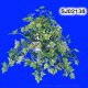 Sell Mini Grape Ivy Bush x 7 Stems, 5 Vines & 242 LVS