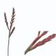 82cm FLOWER SPRAY., SF126770