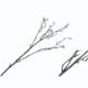 115CM WILLOW TWIG.