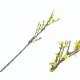 99CM FORSYTHIA.