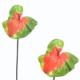 85CM LARGE ANTHURIUM.