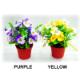 19CM PANSY POTTED.