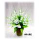 18CM LILY OF VALLEY POTTED., SF128858