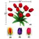 TULIP BUSH X 10