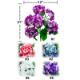 HYDRANGEA BUSH X 6