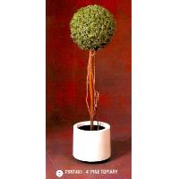 4' Pine Topiary