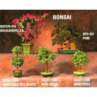 Bonsai