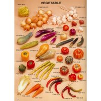 Artificial Vegetable