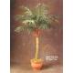 72 inches Palm Tree