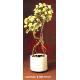 4' Rose Topiary