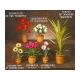 Artificial Flowers