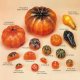Artificial Vegetable