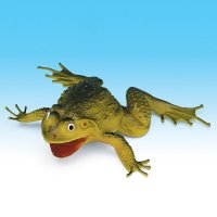 5" FROG W/SOUND