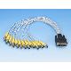 CUSTOM CABLE - HDB 25/BNC