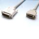 DVI-D PLUG/HP CN20(M)