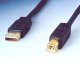 USB A(M)/USB B(M)