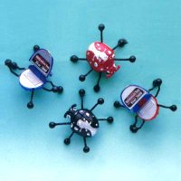Computer Bug