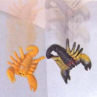 Wacky Scorpion