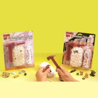 Treasure Hunt Excavation Kits
