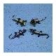 Sticky Agamid Lizards