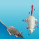 Wall Walking Mouse