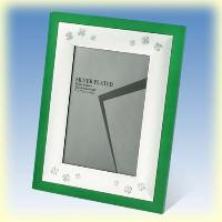 Metal Wooden Frame - Green Color