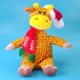 Christmas Item