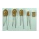 Tantalum Capacitor