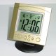 LCD Talking Clock