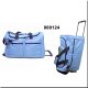 Travelling Trolley Bags