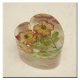 Houseware